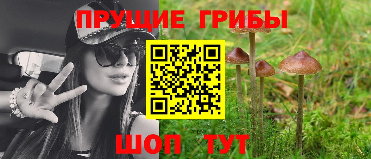 Псилоцибиновые грибы ЛСД Чистополь