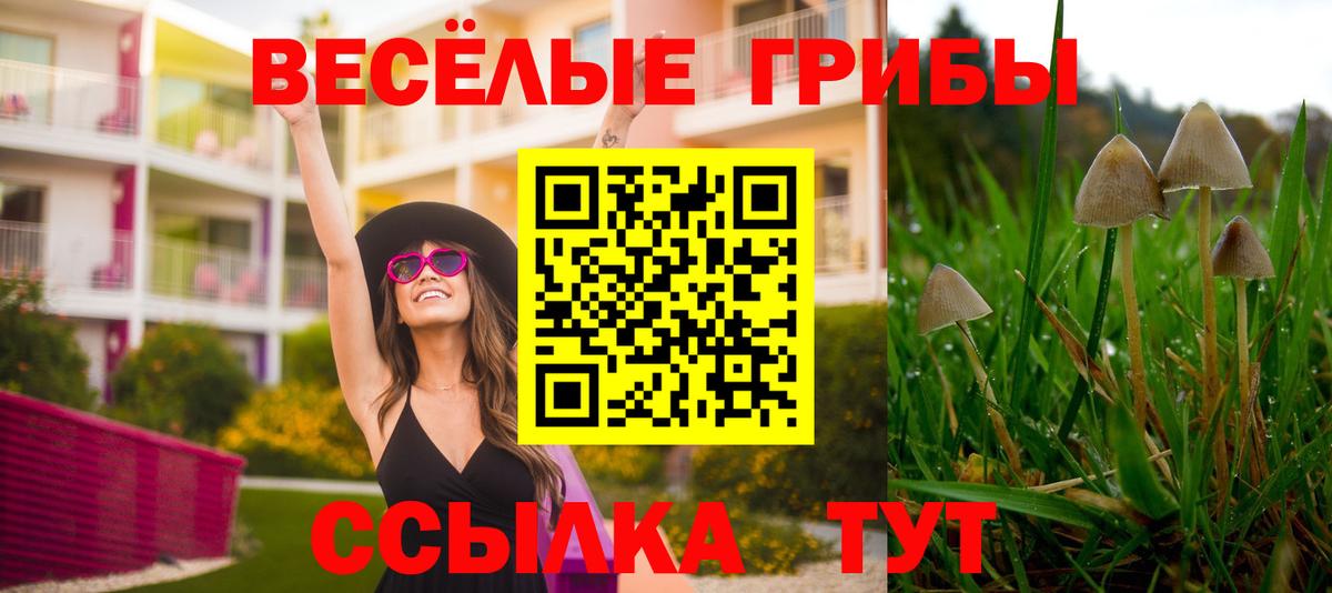 Чистополь  Псилоцибиновые грибы ЛСД  Вход с VPN  Псилоцибиновые грибы Magic Shrooms 