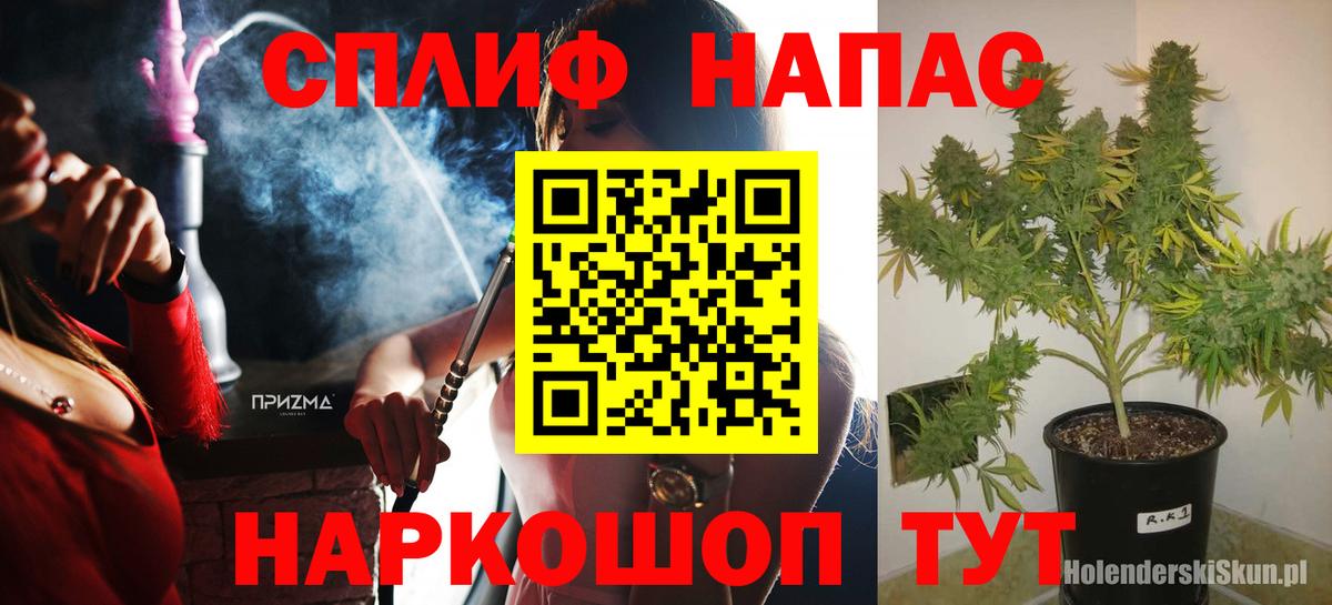 Конопля VHQ  Вход с VPN  Бошки марихуана семена  Чистополь  МАРИХУАНА THC 21% 